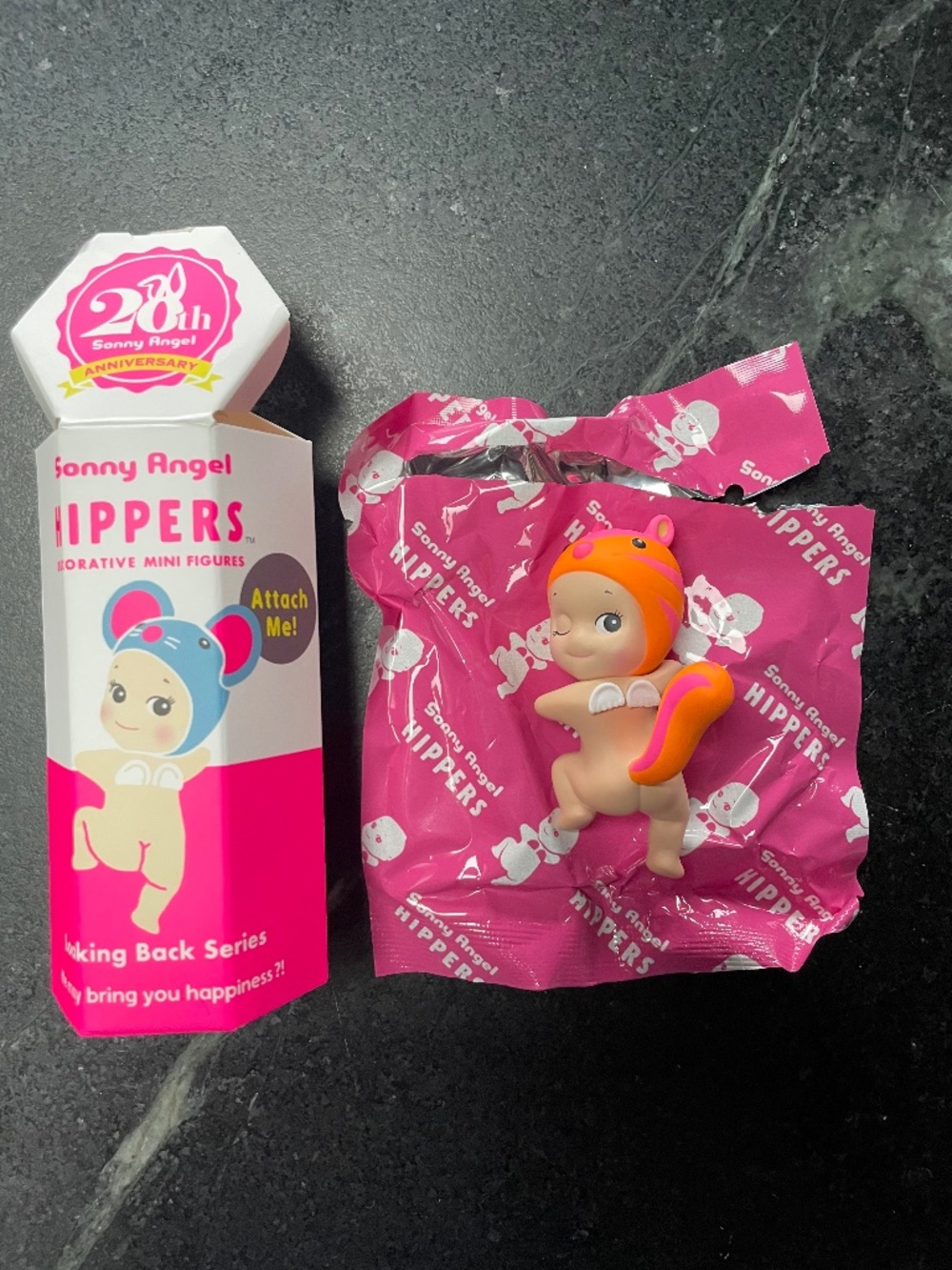 20th Anniversary Sonny Angel Hipper - Secret character Squirrel